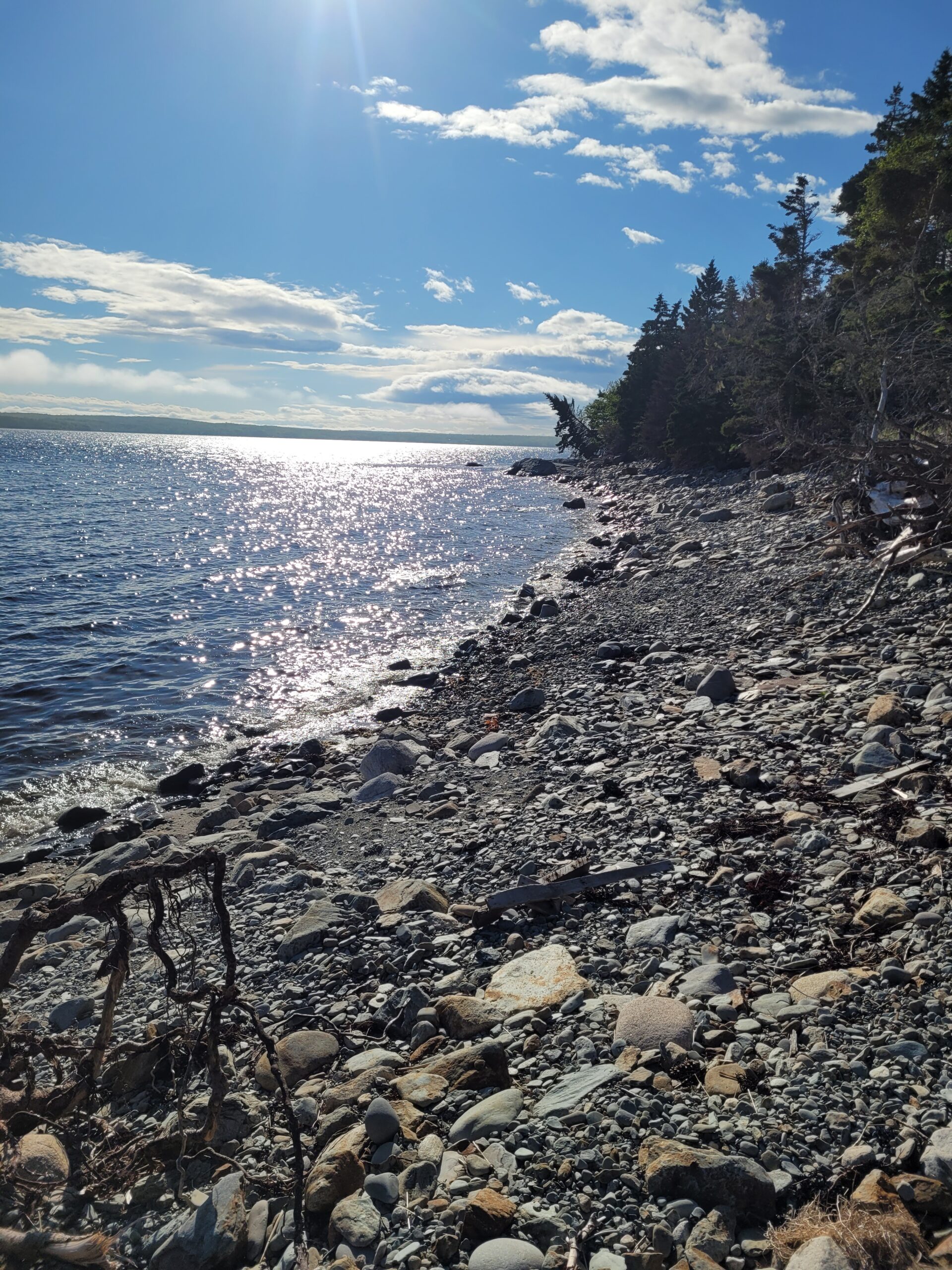 Shelburne oceanfront lot for sale